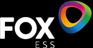 Foxes Logo